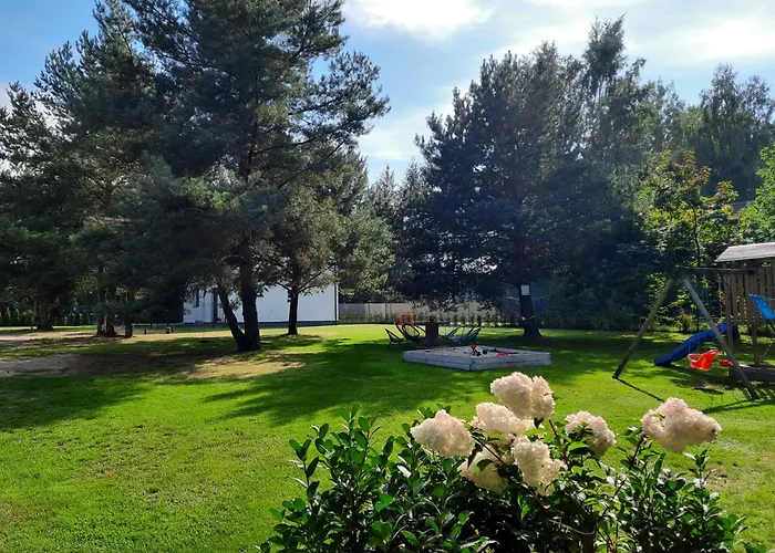 Sosnowe Zacisze
