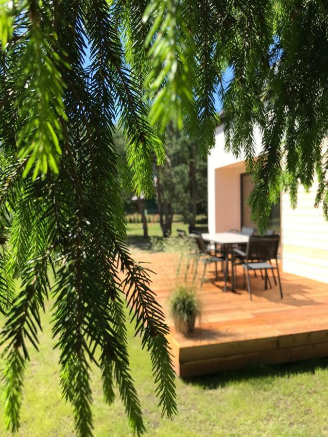 Sosnowe Zacisze Holiday home *
